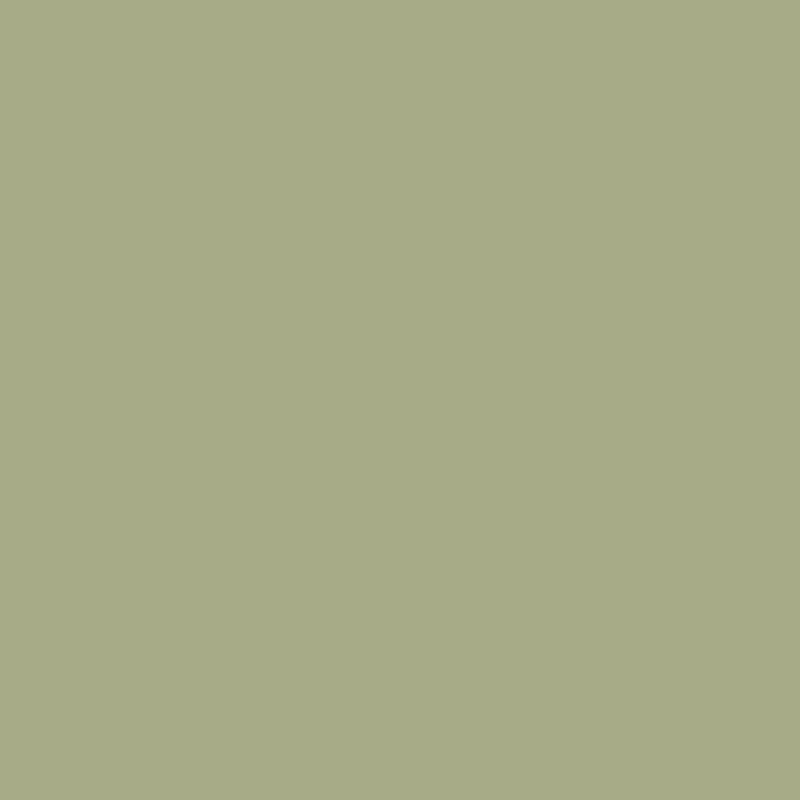 Ceiling Paint - Back Country