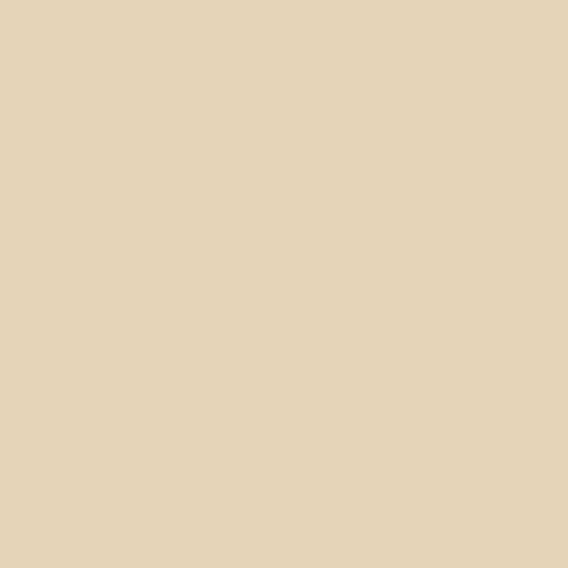 Ceiling Paint - Bare Intent