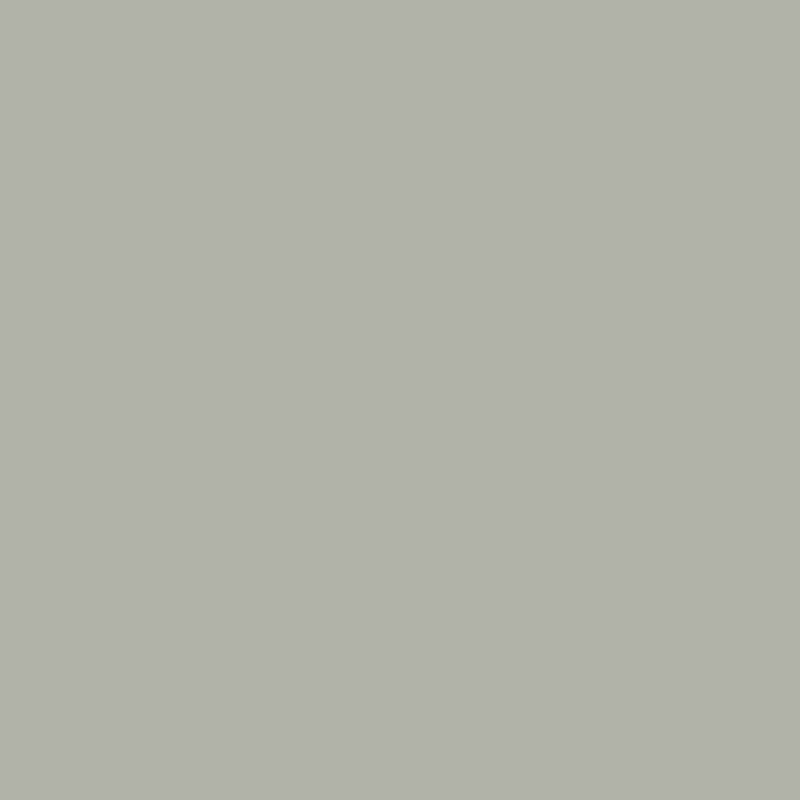 Ceiling Paint - Boatshed