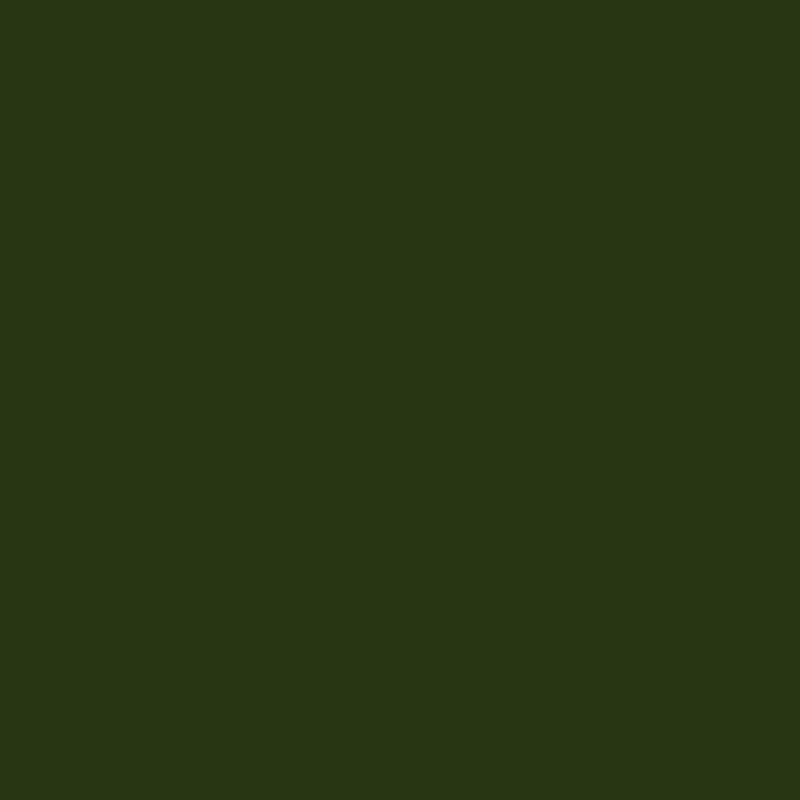 Ceiling Paint - Botanic