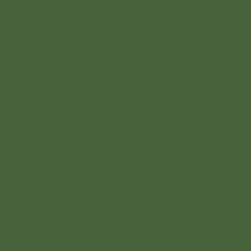 Ceiling Paint - Bush Block