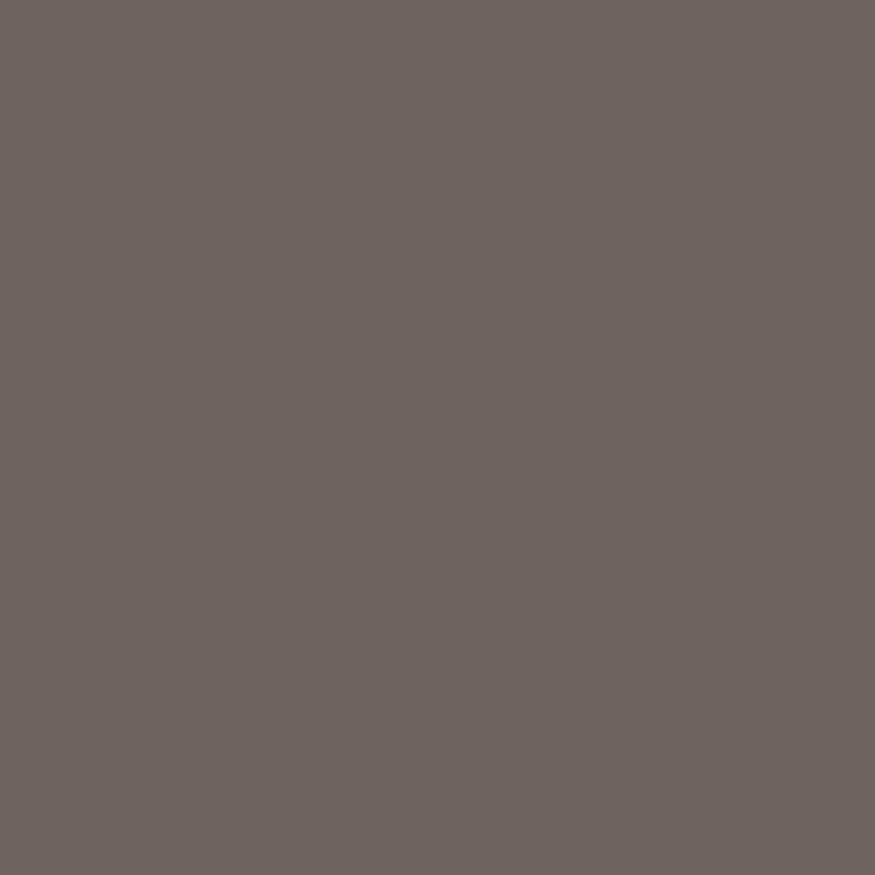 Ceiling Paint - Canopy