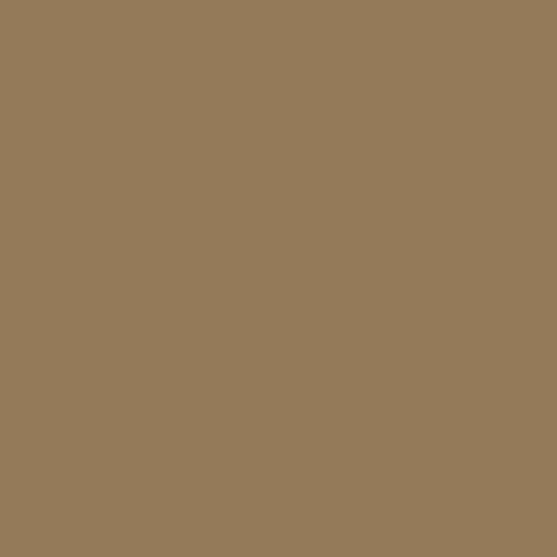 Ceiling Paint - Cold Brew