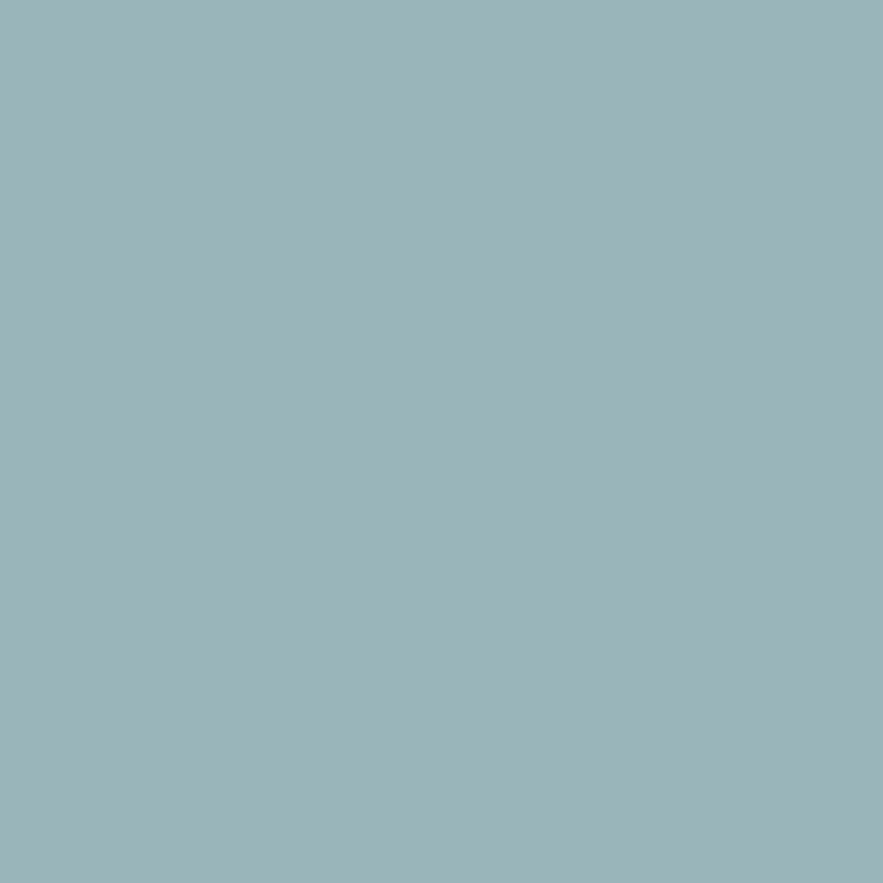 Ceiling Paint - Double Denim
