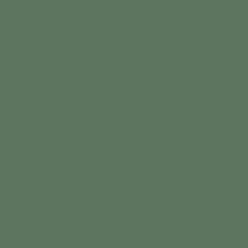 Ceiling Paint - Forest Floor