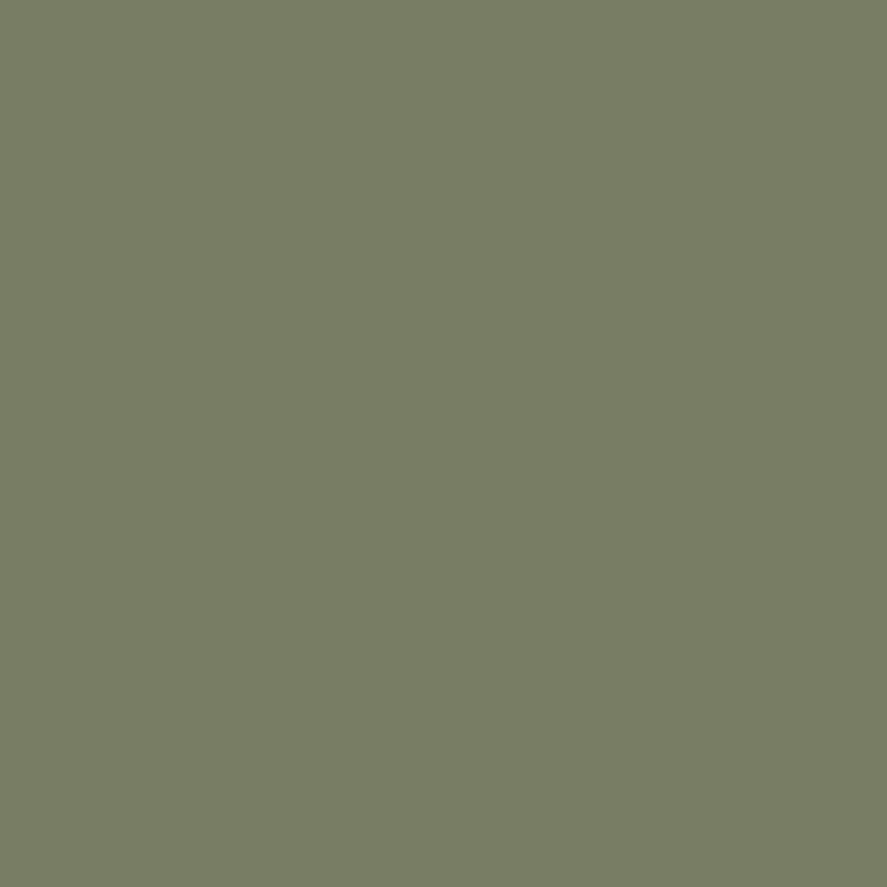 Ceiling Paint - Garden Path