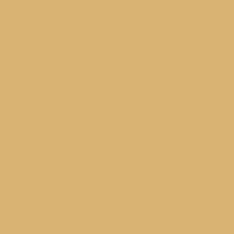 Ceiling Paint - Ginger Beer
