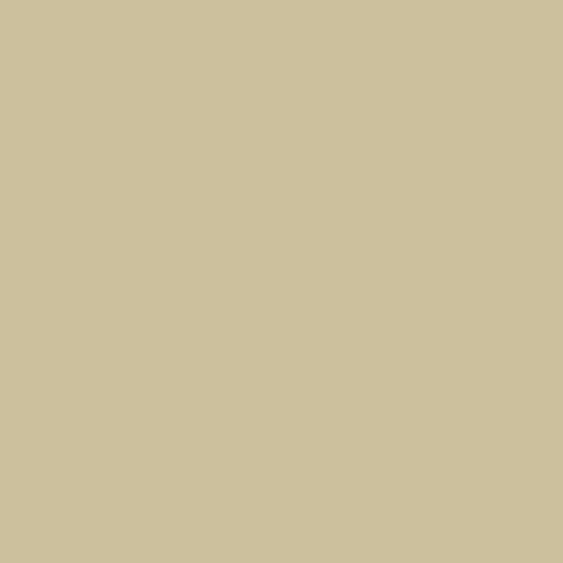 Ceiling Paint - Hot Mud Pools