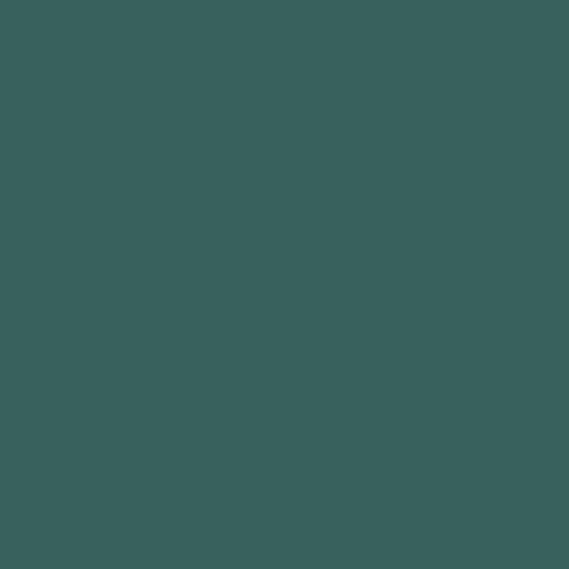 Ceiling Paint - Intuition