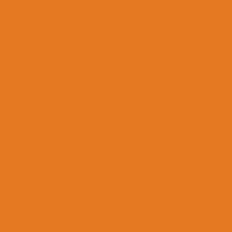 Ceiling Paint - Jester
