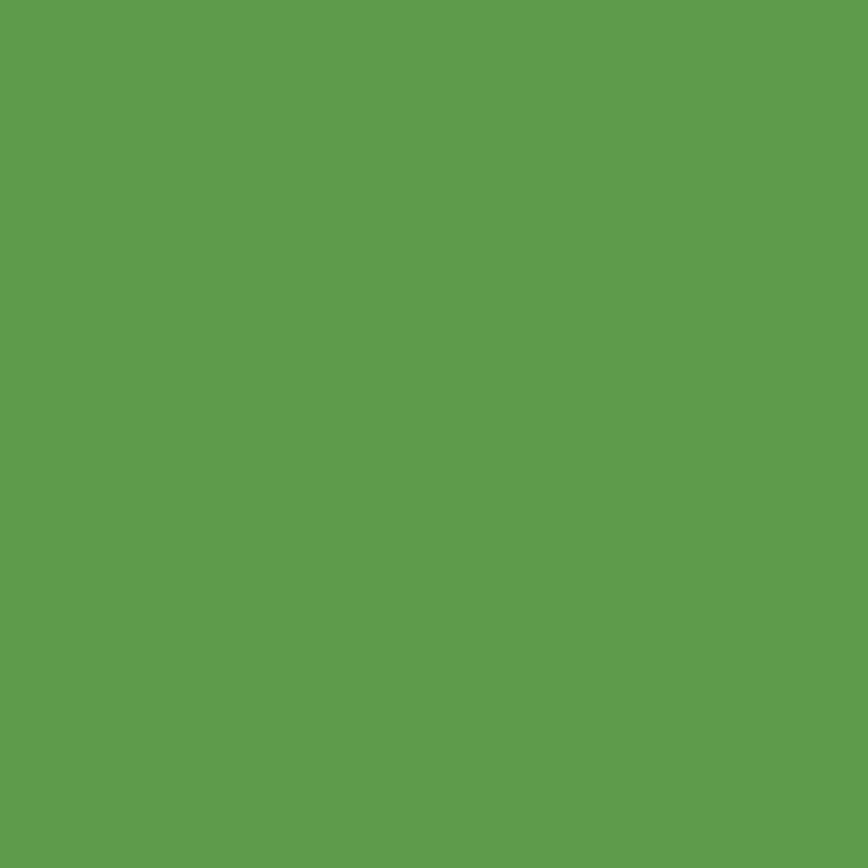 Ceiling Paint - Kakapo
