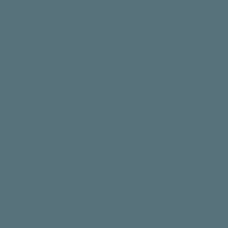 Ceiling Paint - Little Blue Penguin