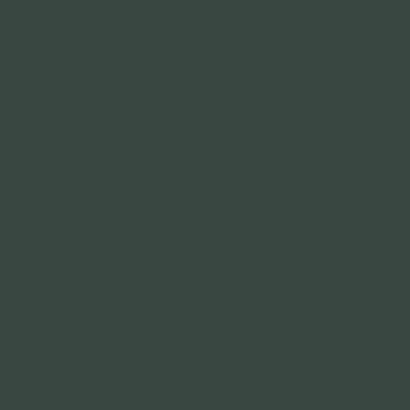 Ceiling Paint - Nocturnal