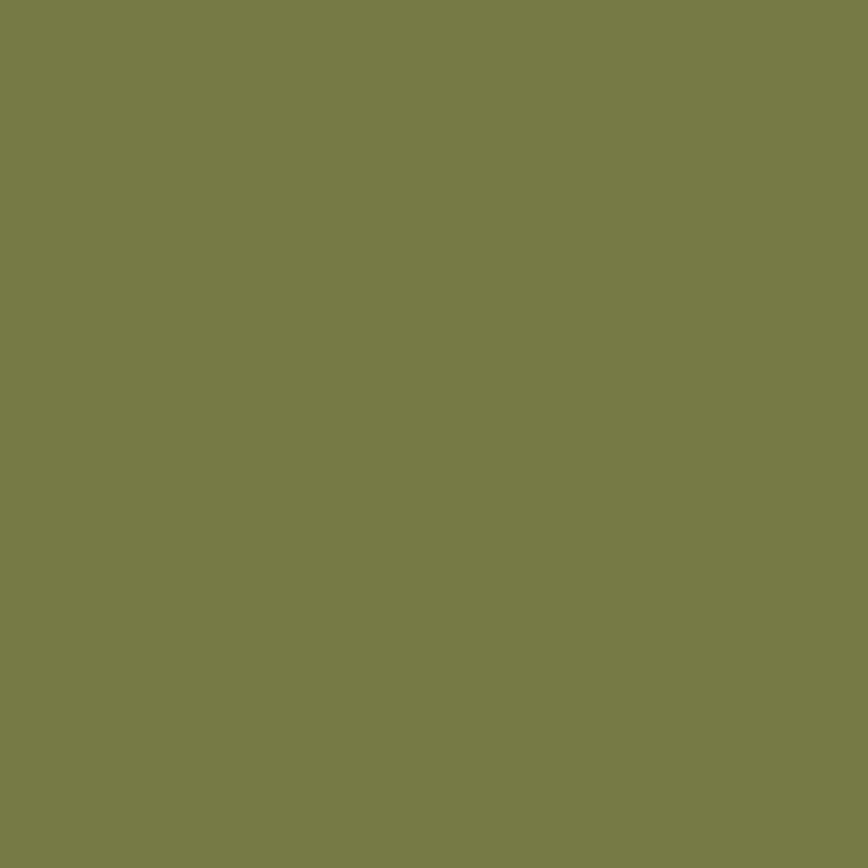 Wall Paint - Olive Grove