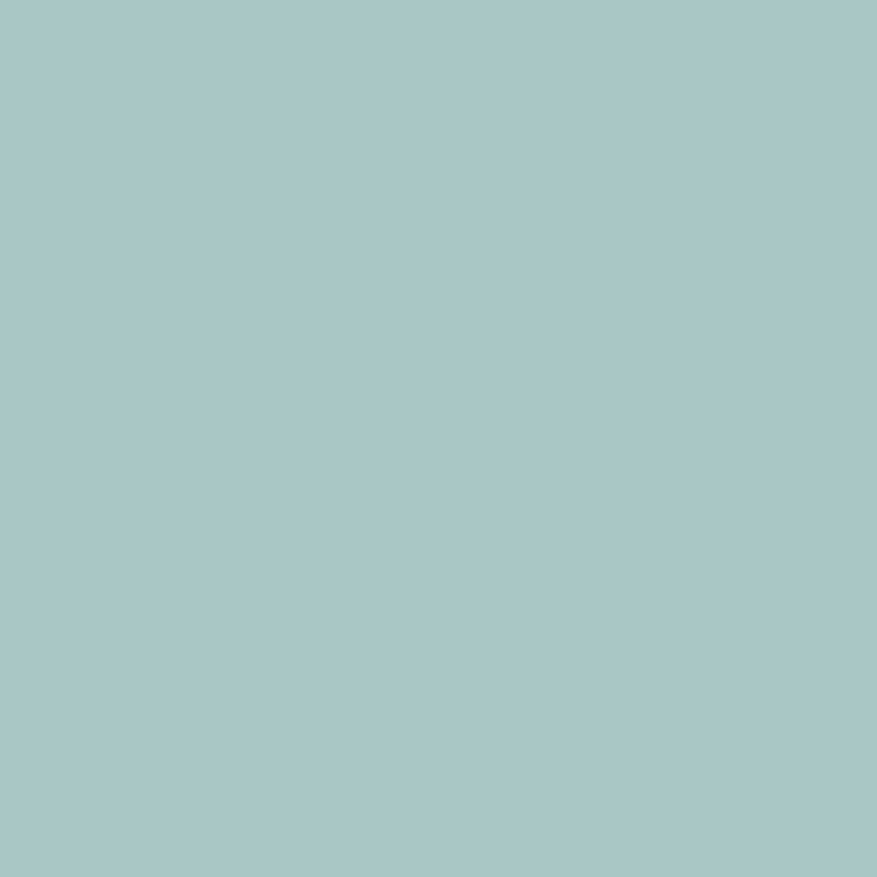 Ceiling Paint - Opera in the Park