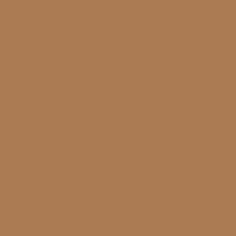 Ceiling Paint - Poured Cinnamon