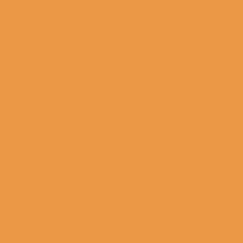 Wall Paint - Rise n Shine