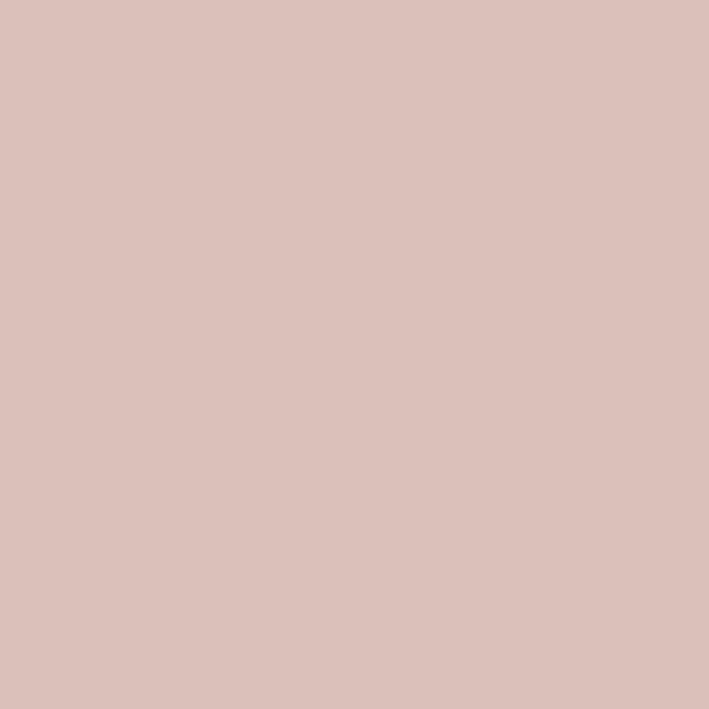 Wall Paint - Rose Quartz