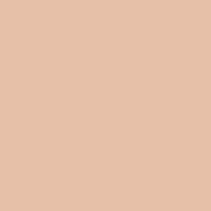 Ceiling Paint - Soft Touch