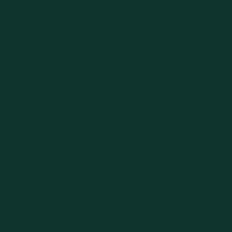 Ceiling Paint - Speakeasy