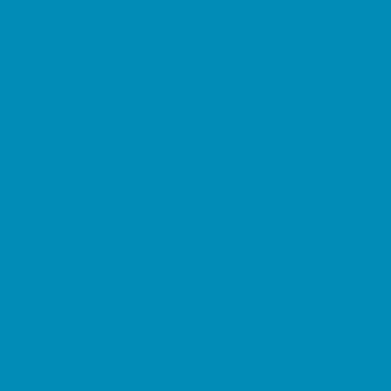Ceiling Paint - Surf Club