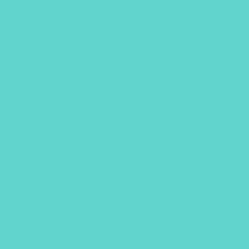 Ceiling Paint - The Bach