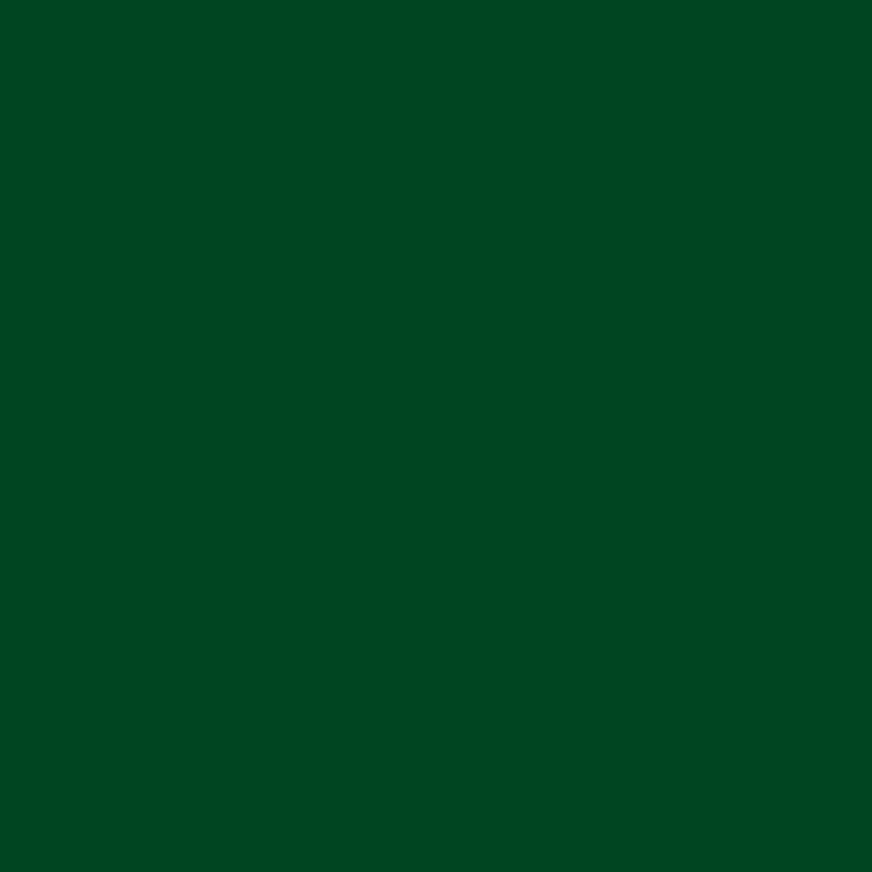 Ceiling Paint - Travel Bug