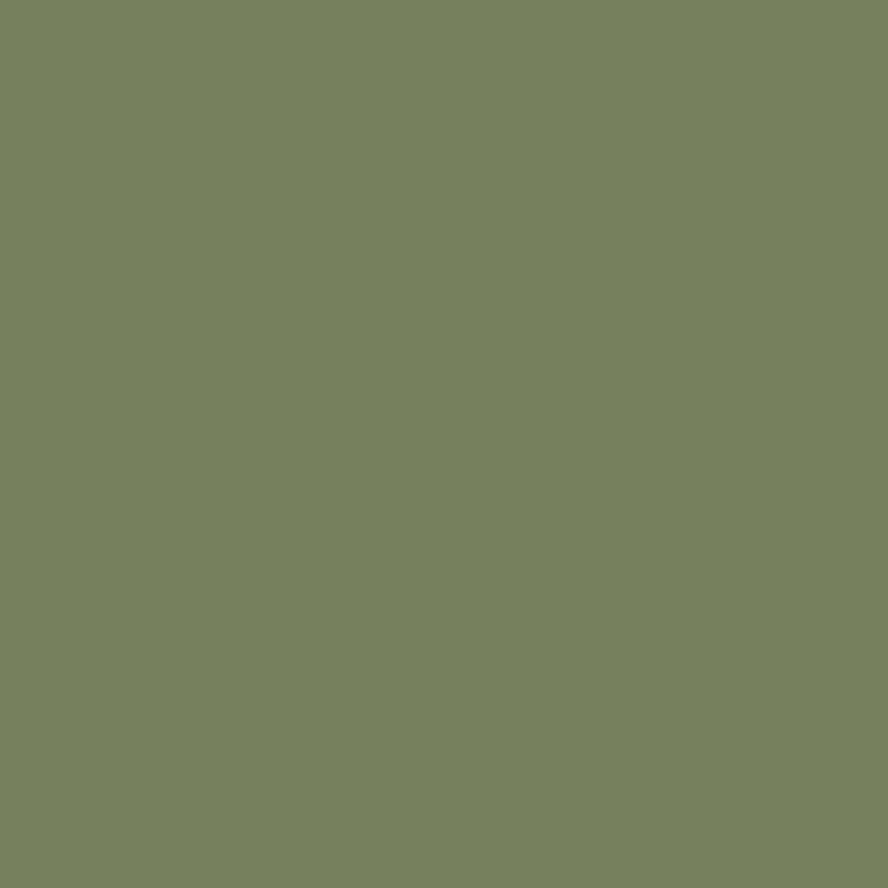Wall Paint - Veggie Shop