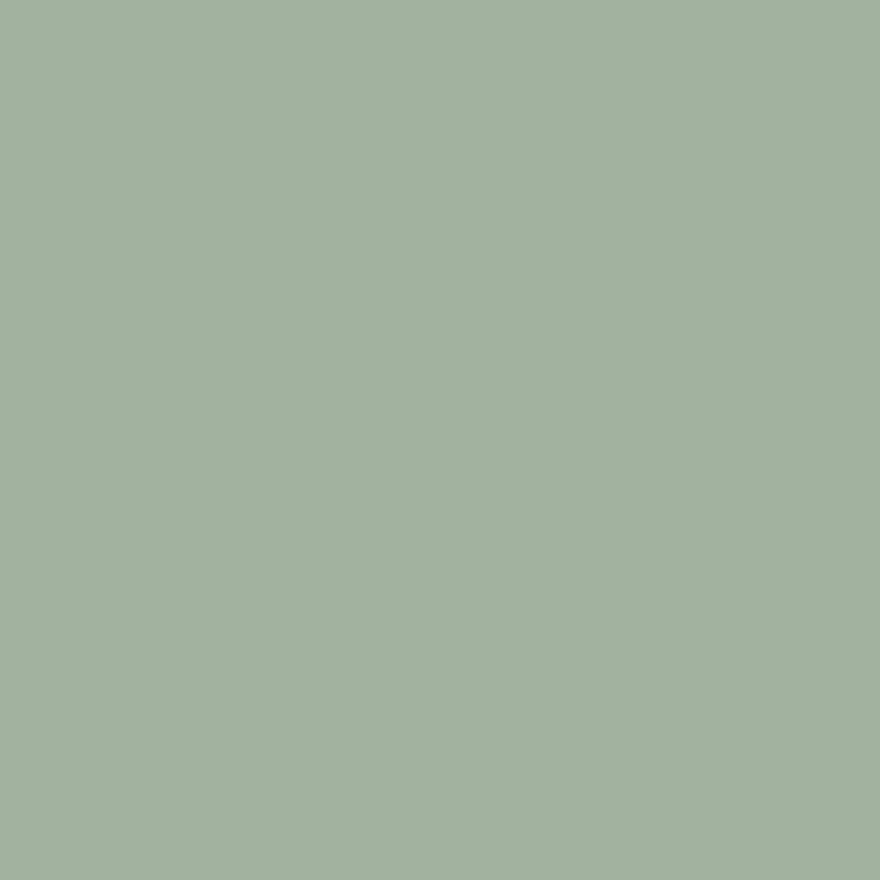 Wall Paint - Wilderness